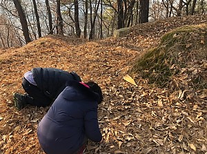 2019년 설 명절 프로그램